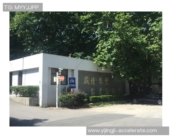 赛后分析南京乒乓球队与广州乒乓球队的战术意识与心理博弈